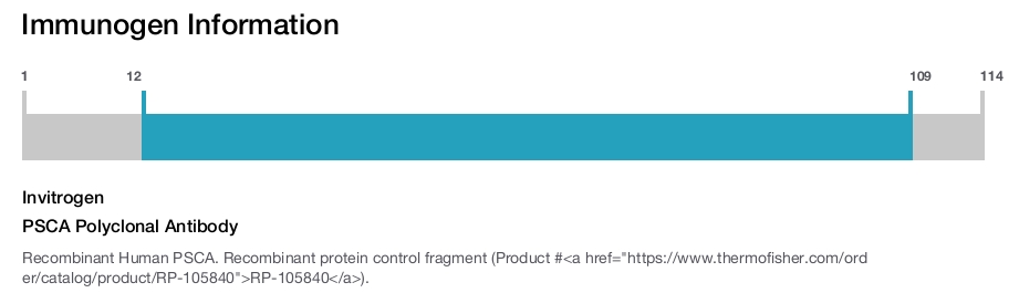 PSCA Polyclonal Antibody