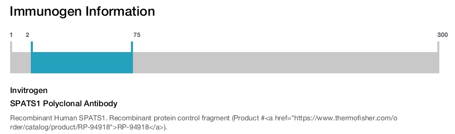 SPATS1 Polyclonal Antibody