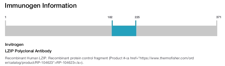 LZIP Polyclonal Antibody