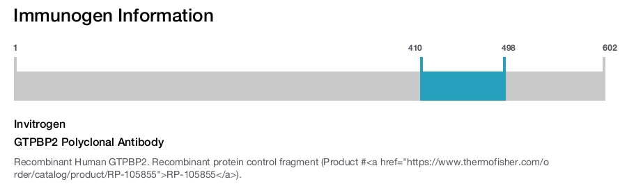 GTPBP2 Polyclonal Antibody