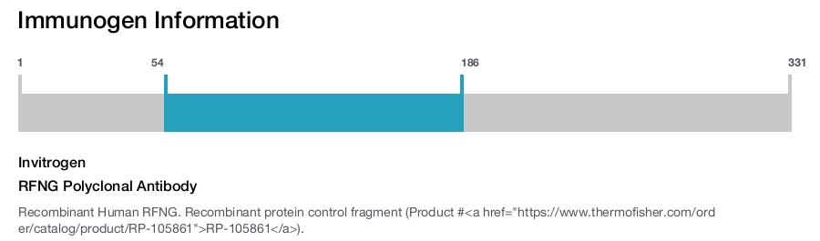 RFNG Polyclonal Antibody
