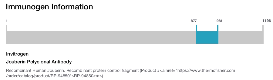 Jouberin Polyclonal Antibody