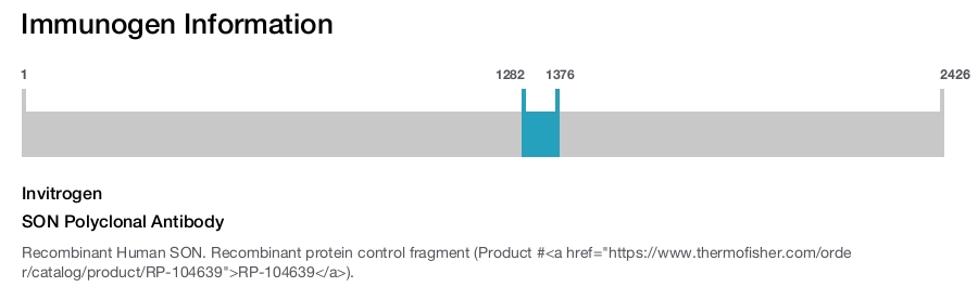 SON Polyclonal Antibody