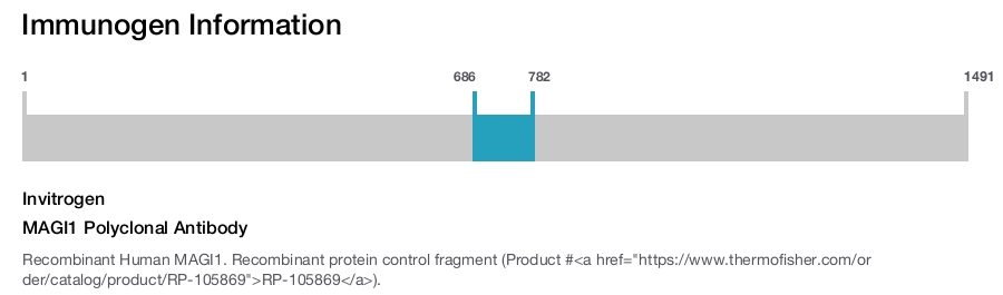 MAGI1 Polyclonal Antibody