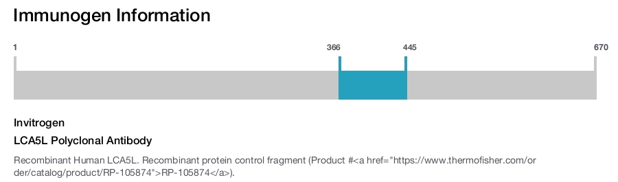 LCA5L Polyclonal Antibody