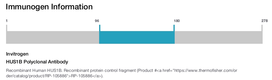 HUS1B Polyclonal Antibody