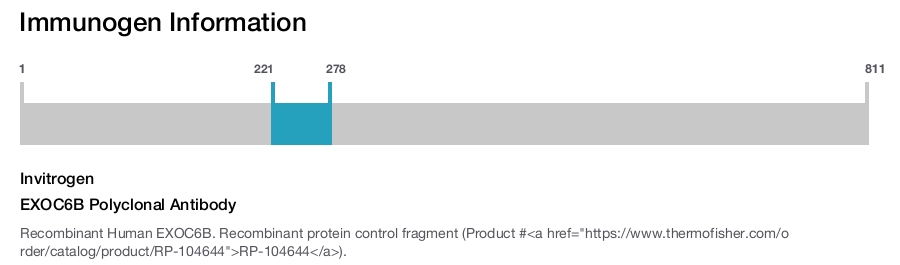 EXOC6B Polyclonal Antibody