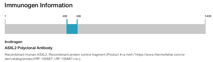 ASXL2 Polyclonal Antibody