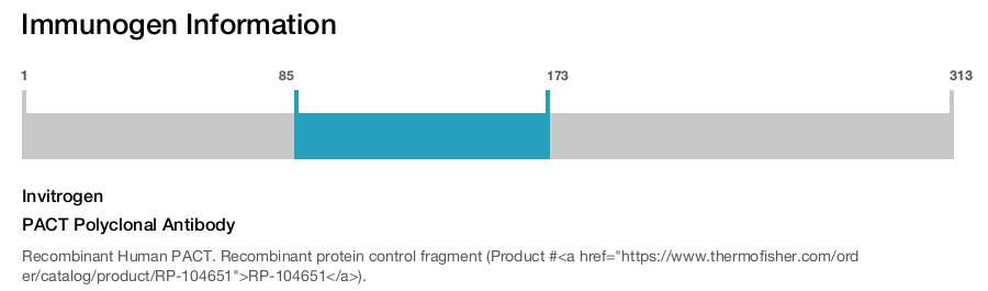 PACT Polyclonal Antibody