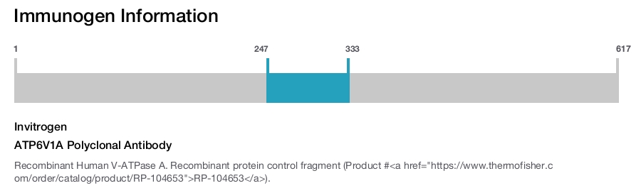 ATP6V1A Polyclonal Antibody
