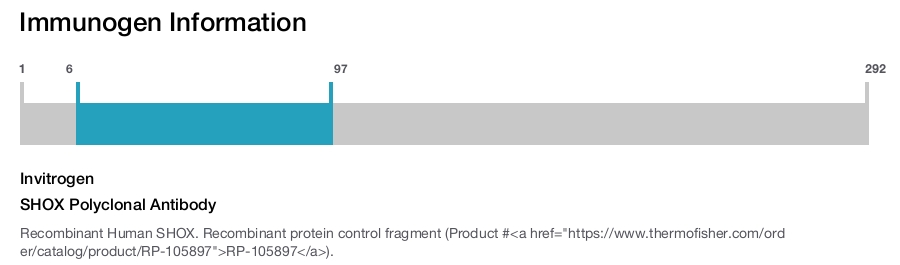 SHOX Polyclonal Antibody