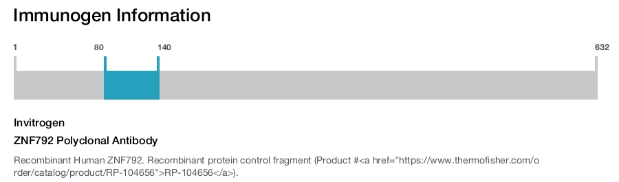 ZNF792 Polyclonal Antibody