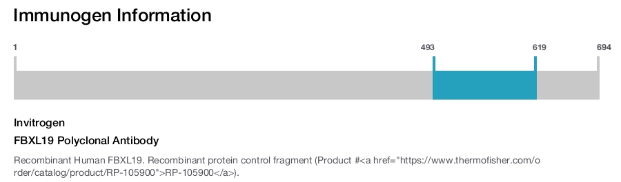 FBXL19 Polyclonal Antibody