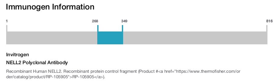 NELL2 Polyclonal Antibody