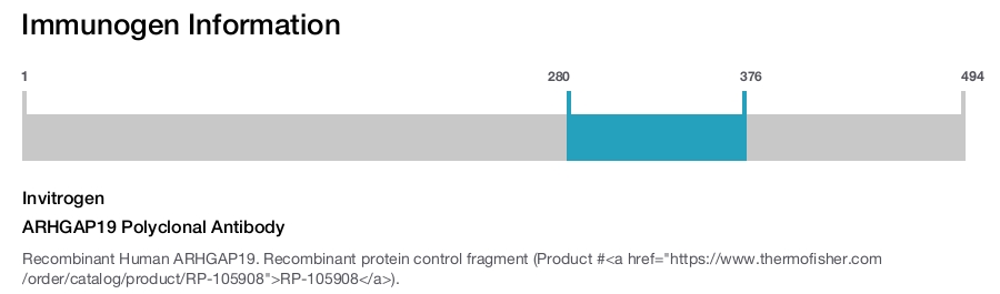 ARHGAP19 Polyclonal Antibody