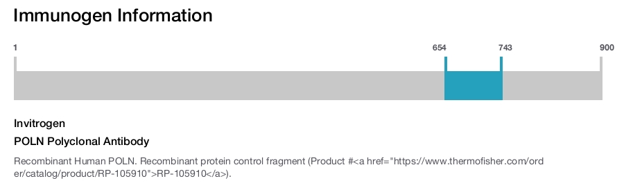 POLN Polyclonal Antibody