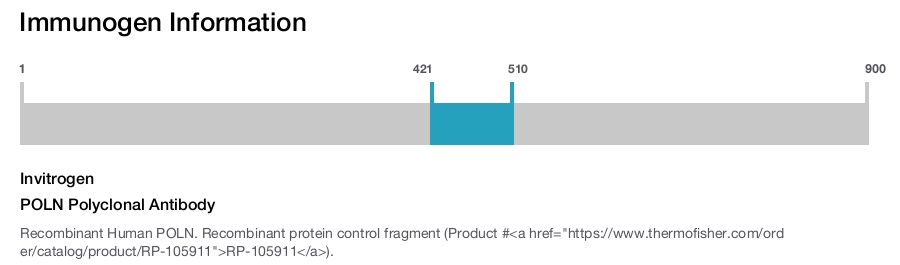 POLN Polyclonal Antibody