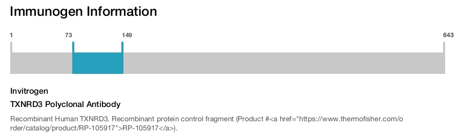 TXNRD3 Polyclonal Antibody