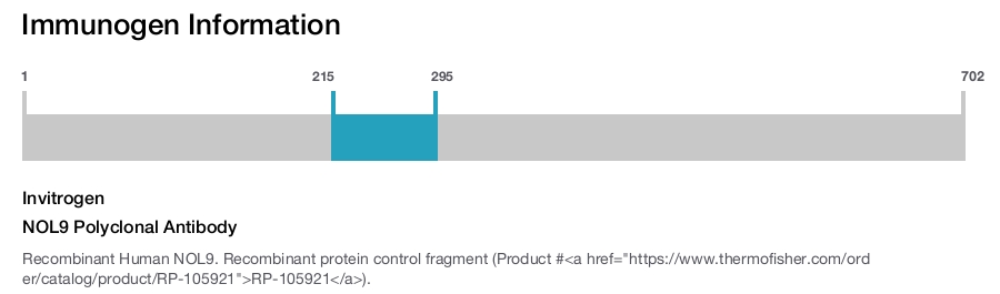 NOL9 Polyclonal Antibody