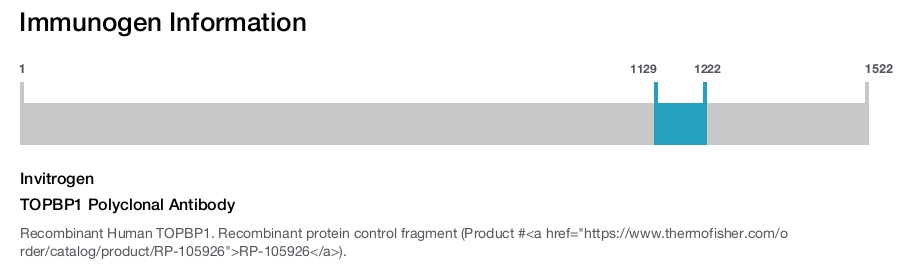 TOPBP1 Polyclonal Antibody