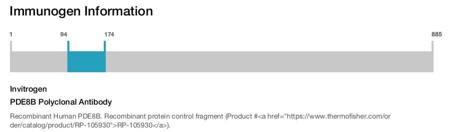 PDE8B Polyclonal Antibody
