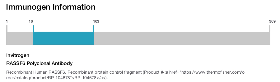 RASSF6 Polyclonal Antibody