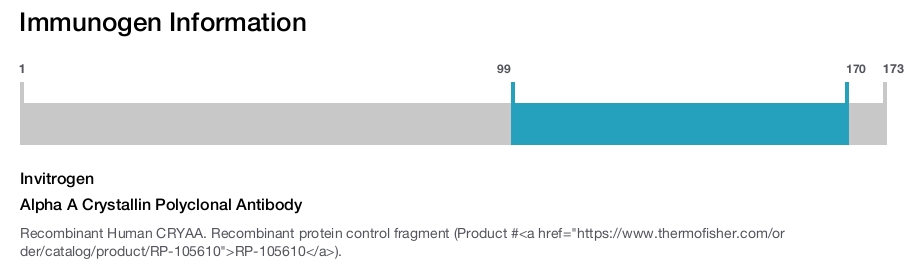 Alpha A Crystallin Polyclonal Antibody