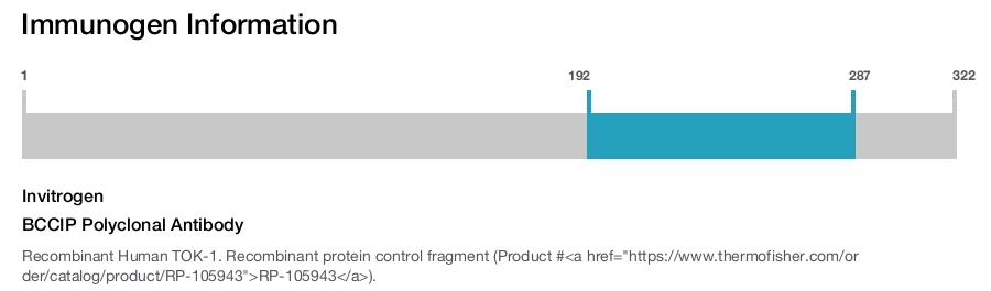 BCCIP Polyclonal Antibody