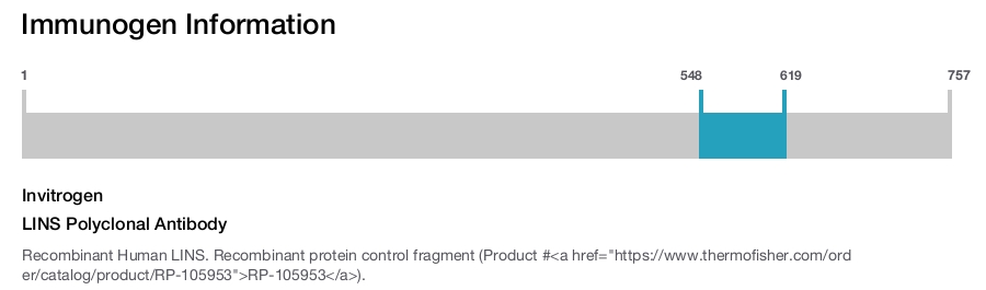 LINS Polyclonal Antibody