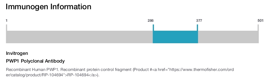 PWP1 Polyclonal Antibody