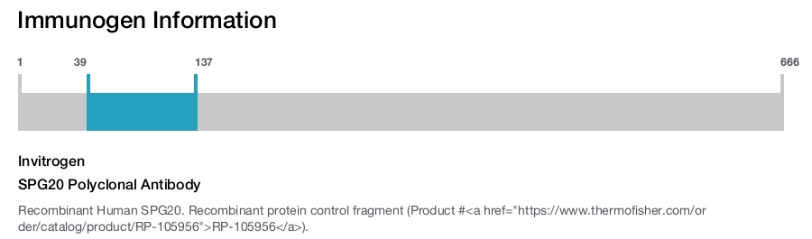 SPG20 Polyclonal Antibody