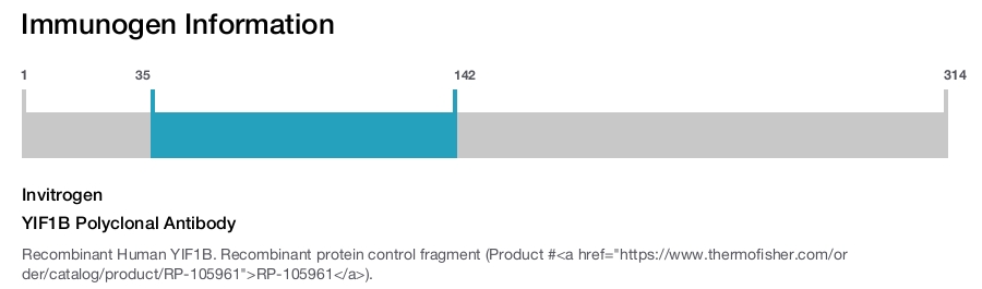 YIF1B Polyclonal Antibody