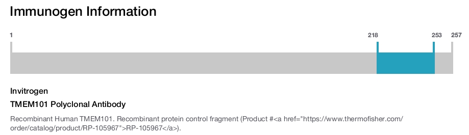 TMEM101 Polyclonal Antibody