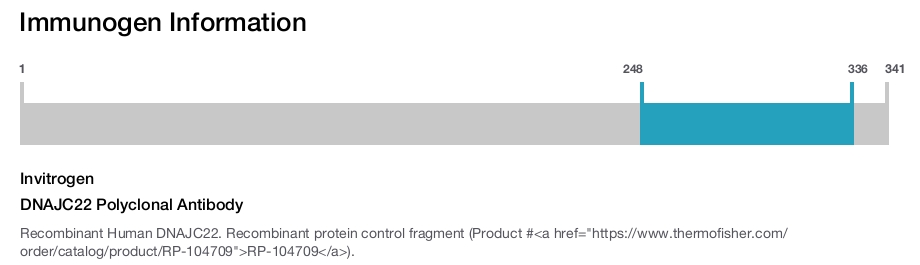 DNAJC22 Polyclonal Antibody