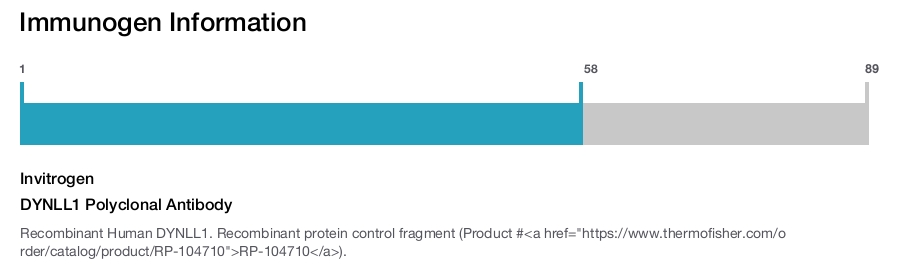 DYNLL1 Polyclonal Antibody