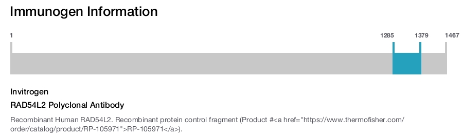 RAD54L2 Polyclonal Antibody
