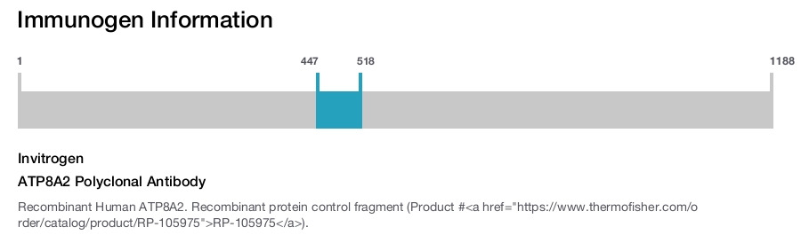 ATP8A2 Polyclonal Antibody