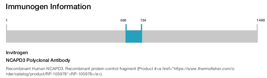 NCAPD3 Polyclonal Antibody