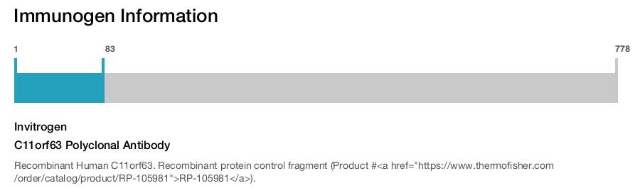 C11orf63 Polyclonal Antibody