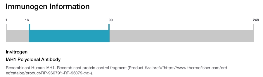 IAH1 Polyclonal Antibody