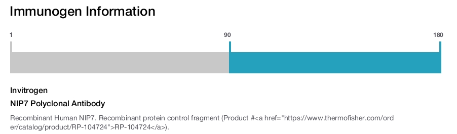 NIP7 Polyclonal Antibody