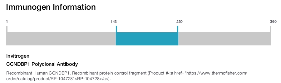 CCNDBP1 Polyclonal Antibody