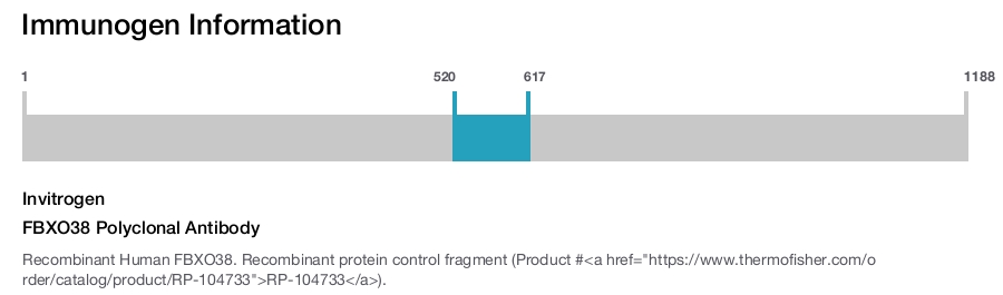 FBXO38 Polyclonal Antibody