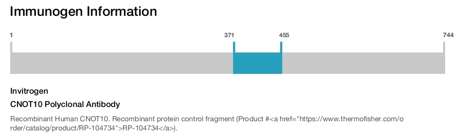 CNOT10 Polyclonal Antibody