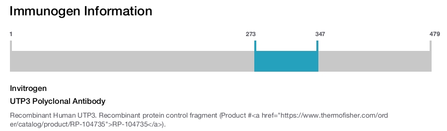 UTP3 Polyclonal Antibody