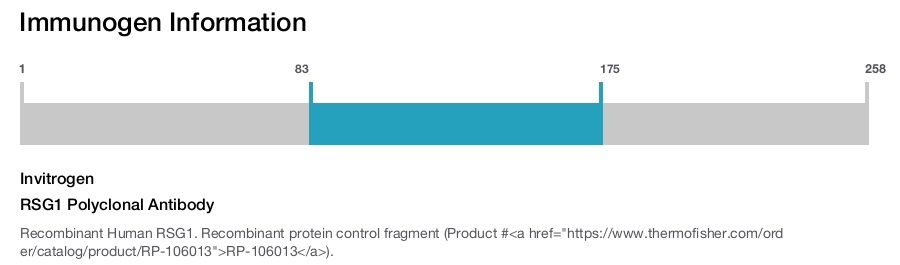 RSG1 Polyclonal Antibody