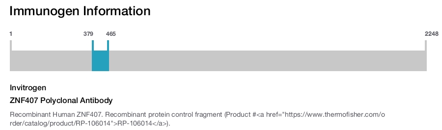 ZNF407 Polyclonal Antibody