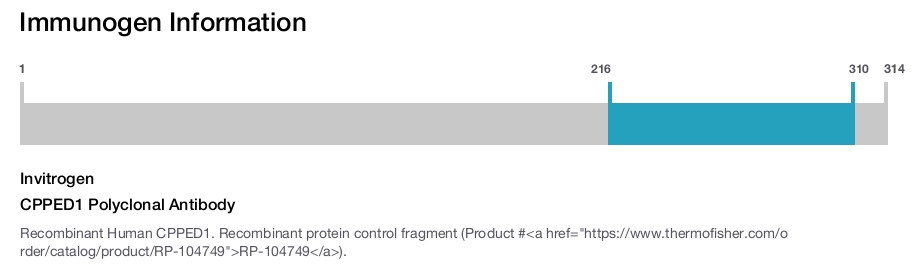 CPPED1 Polyclonal Antibody
