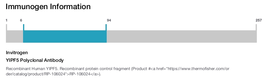 YIPF5 Polyclonal Antibody