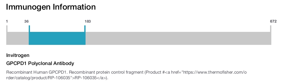 GPCPD1 Polyclonal Antibody